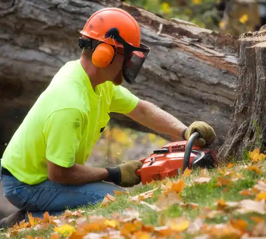 tree services Pultneyville